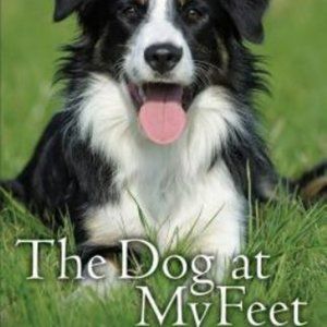 The Dog at My Feet: Stories of the Dogs We Love